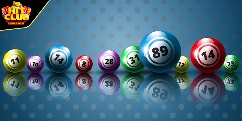 Bóng số tập trung vào phân tích tần suất con số nổ 